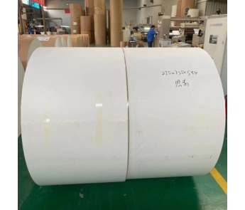 Giấy Ivory Board có khả năng chịu nén tốt, phủ PE cấp thực phẩm